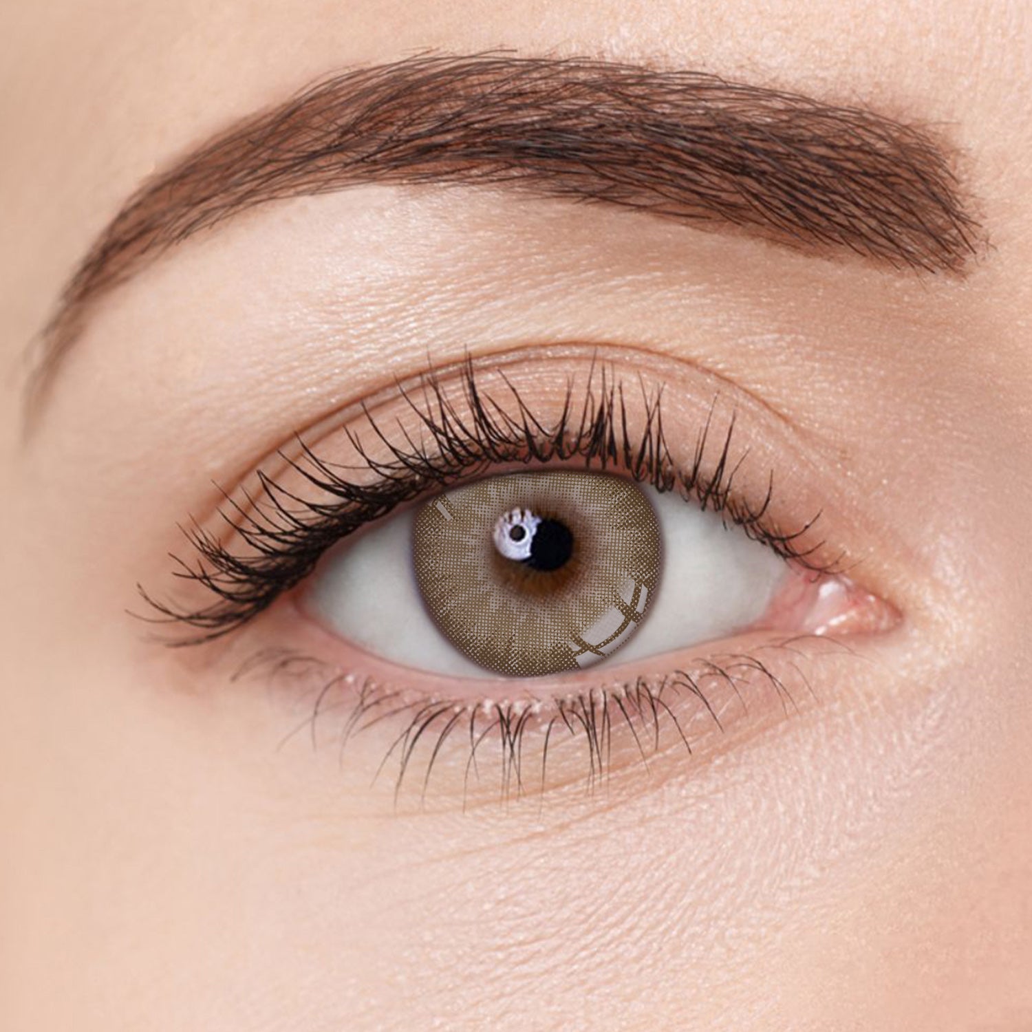 Aura Lens colored contact lenses in Honey Brown – warm, golden-brown lenses that add a soft, luminous glow to the eyes.