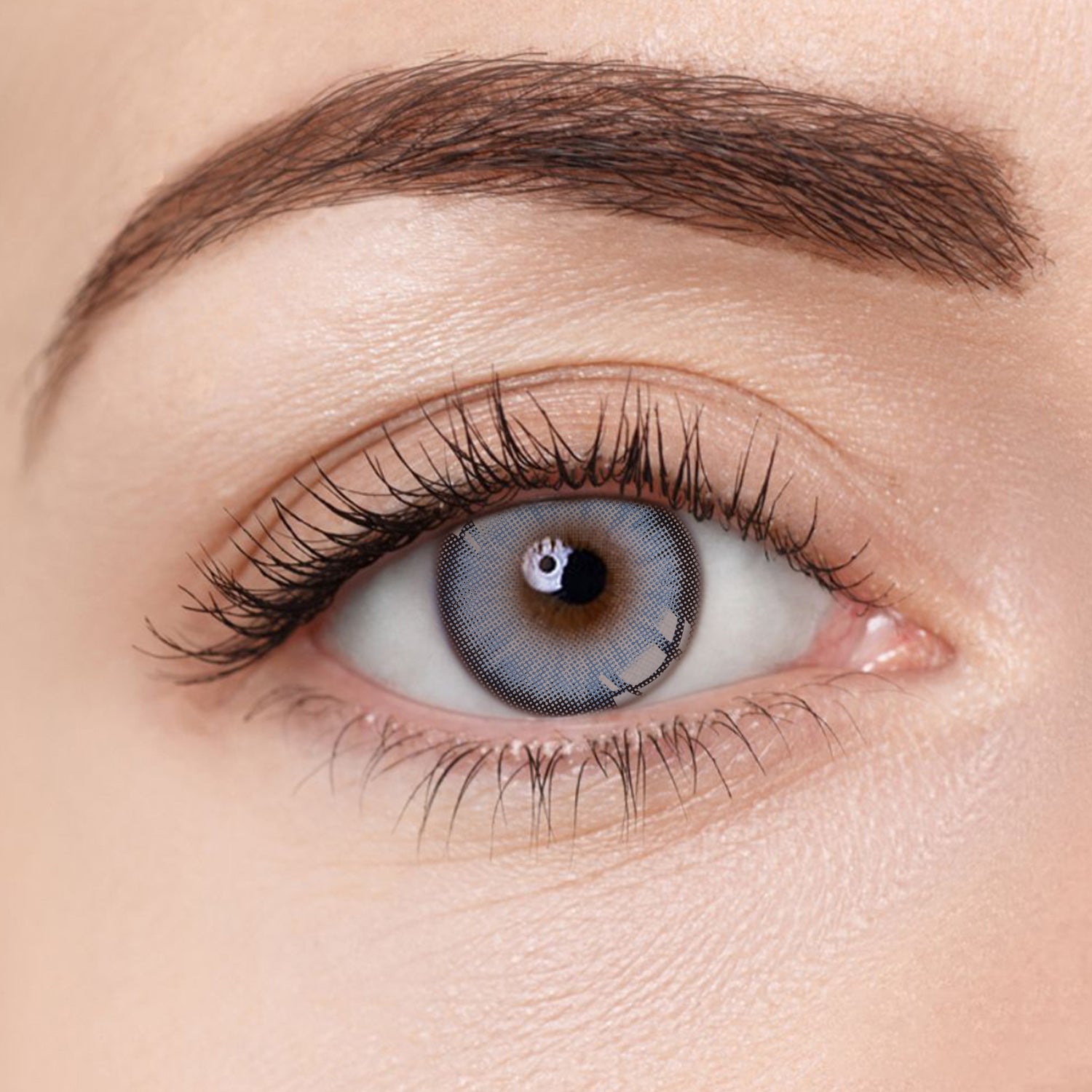 Cobalt Blue contact lens by Aura Lens, featuring intense blue pigmentation for a vibrant eye look.